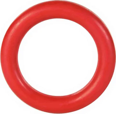 Immagine prodotto di Anello gioco per cani ø 15 cm petrolio