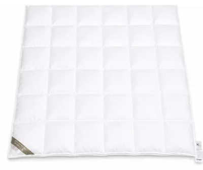 Produktbild von Hofmann Franken Daunenbett Daunendecke 6x6, 200x200 5 cm Außensteg 100% Daunen