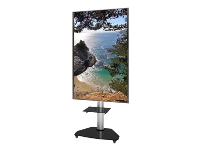 Obrázok produktu pre Techly ICA-TR3SL - vozík - pre plochú obrazovku - tvrdené sklo - strieborný - veľkosť obrazovky: 94-178 cm (37"-70")