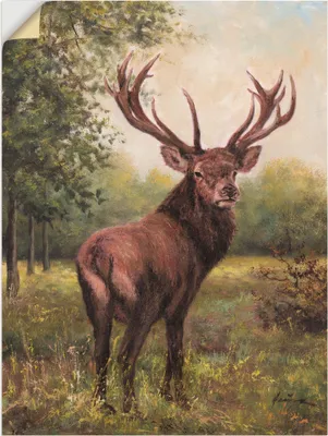 Produktbild von ARTland Wandbild, selbstklebend Hirsch Größe: 90x120 cm