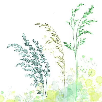 Produktbild von Braun & Company Servietten Motiv Green Breeze 33 x 33 cm - 20er Pack