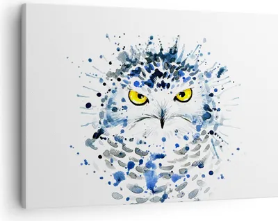 Produktbild von Bild auf Leinwand - Leinwandbild - Mode Design Eule Aquarell - 70x50cm - Wand Bild - Wanddeko - Leinwanddruck - Bilder - Kunstdruck - Wanddekoration - Leinwand bilder - Wandkunst - AA70x50-2838