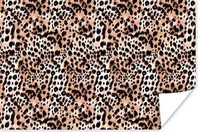 Produktbild von MuchoWow® Poster Tierdruck - Tiger - Tiere 120x80 cm - Bilder