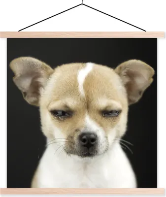 Produktbild von MuchoWow® Textilposter Hund - Haustiere - Porträt 60x60 cm mit holzfarbenen Rahmen - Wanddekoration