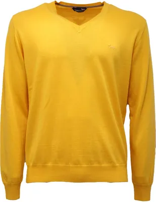Immagine prodotto di 0538AP maglione uomo HARMONT & BLAINE man sweater