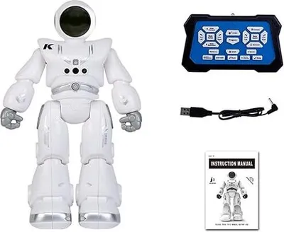 Produktbild von RC Roboter Spielzeug Intelligentes Lustiges Automatisches Gesture Sensing Wiederaufladbares Smart Roboter Spielzeug für Kinder Geschenk