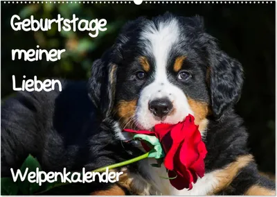 Produktbild von Geburtstage meiner Lieben - Welpenkalender (Wandkalender 2025 DIN A2 quer), CALVENDO Monatskalender