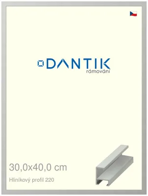 Zdjęcie produktu dla Rama DANTIK 30x40 | Profil ALU 6220 Srebrny mat (Plexi Clear)