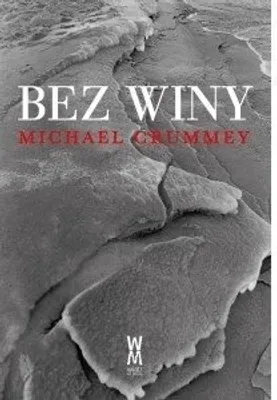 Zdjęcie produktu dla ISBN Bez Winy, Polski, Broszurowa okładka, 360 stron(y)