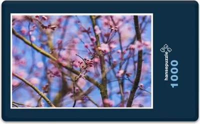 Produktbild von hansepuzzle 13494 - Kirsch-Blüte Puzzle, 1000 Teile, Natur, 60,0 x 46,0cm mit hochwertiger Aufbewahrung, Kartonbox und wiederverschließbarem Beutel