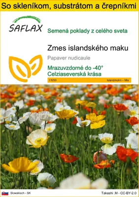 Obrázok produktu pre SAFLAX Kultivačný set - Zmes islandského maku - Papaver nudicaule - 8000 Semená - S mini skleníkom, pestovateľským substrátom a 2 črepníkmi