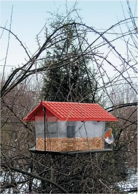 Immagine prodotto di BURI mangiatoia in plastica per uccelli mangiatoia per uccelli mangiatoia per uccelli mangiatoia per uccelli casa per uccelli