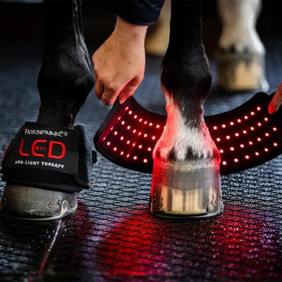 Image de Mini écharpe de thérapie par lumière rouge LED Horseware, Farbe:Black/Black