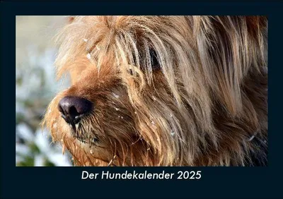 Produktbild von Der Hundekalender 2025 Fotokalender DIN A5
