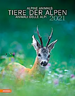 Produktbild von Tiere der Alpen - Kalender 2021