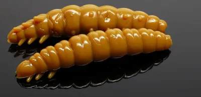Produktbild von Libra Lures Larva Knoblauch 4.5cm 036-coffee milk