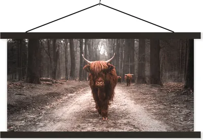 Produktbild von MuchoWow® Textilposter Schottische Hochlandrind - Tiere - Bäume 150x75 cm mit schwarzem Rahmen - Posterleiste