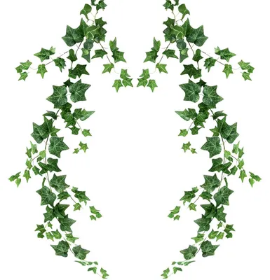 Produktbild von Künstliche Efeu Girlande 2 Stück 1.8m Ranken zum Hängen Wetterfest UV-Beständig