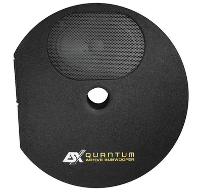 Produktbild von ESX QUANTUM Q300AV2 Reserverad Aktiv Subwoofer mit integriertem Verstärker