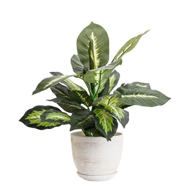 Immagine prodotto di Vaso da fiori in ceramica rotondo con piattino grigio chiaro 16 cm lucido con foro di drenaggio