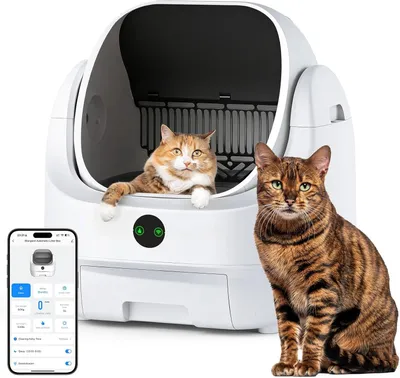 Productafbeelding van Zelfreinigende kattenbak - open - elektrisch kattentoilet - met app - 9 l afvalbak