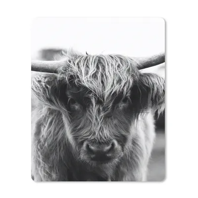 Produktbild von MuchoWow® Mauspad Mousepad Schottischer Highlander - Kuh - Gras - Tiere - Natur 30x40 cm - Mousepads - Maus Mat - Pad - Mausunterlage - Mausmatten