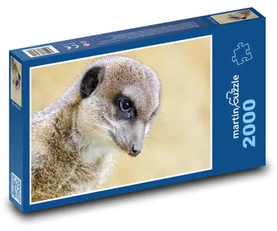 Zdjęcie produktu dla martinpuzzle - Puzzle 2000 - Surikata