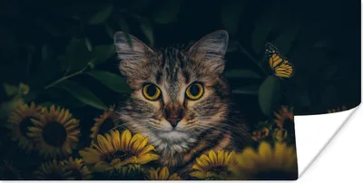 Produktbild von MuchoWow® Poster Katze - Gelb - Blumen - Botanisch 40x20 cm - Poster für die Wand - Poster Schlafzimmer