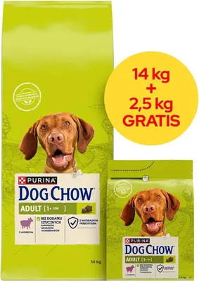 Produktbild von PURINA DOG CHOW ADULT Lamm 14 2,5 kg
