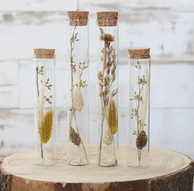 Produktbild von 4 Trockenblumen-Dekorationen im Glas für Innenräume