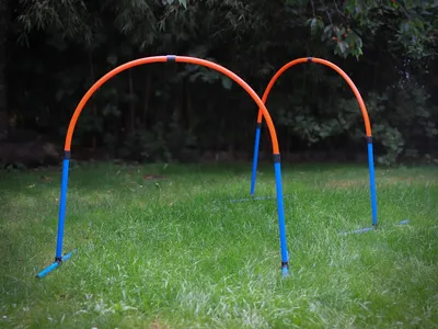 Produktbild von Hoopers Set, 2 Bögen, Hundetraining Set, Agility Hunde Parcour