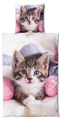 Produktbild von MF Bettwäsche Katzenbaby 80gsm