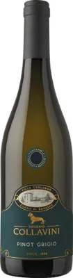 Produktbild von Villa Canlungo Pinot Grigio Collio DOC 2025 Friaul-Julisch Venetien | Italien | 12,5% vol | 0,75 l