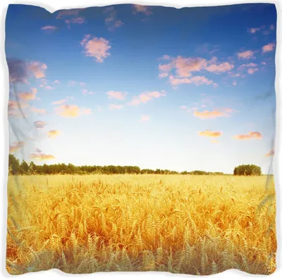 Produktbild von Wallario Premium Kissen, weiche Oberfläche, mit Motiv Weizenfeld unter blauem Himmel, Größe: 30 x 30 cm, mit weißer Rückseite