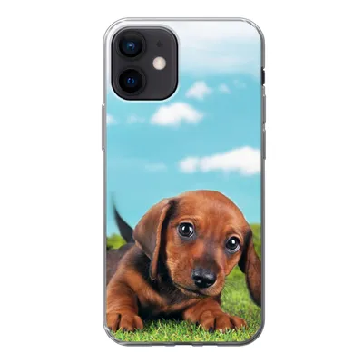 Produktbild von MuchoWow® Handyhülle Schutzhülle Hülle für iPhone 12 Schöner Himmel über einem niedlichen Dackelwelpen Silikon Softcase Handy Hülle - Schutzhülle