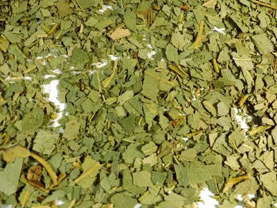 Produktbild von Eukalyptusblätter geschnitten Naturideen® 100g