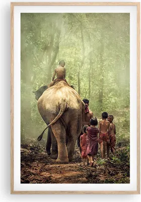 Produktbild von Gerahmtes Poster - Rahmen in heller Eiche - Elefant Dschungel Nebel - 61x91,5 cm - Wand Bild - Wanddeko - Wandbilder - Wandposter - Bilderrahmen - Bilder - Kunstdruck - Wandbild - P2NPA61x91-3438