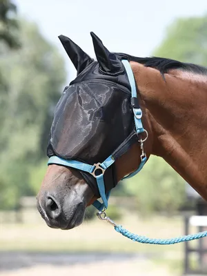 Produktbild von Busse Fliegenmaske Combi Plus, schwarz, Busse_17_Groessen:Warmblut
