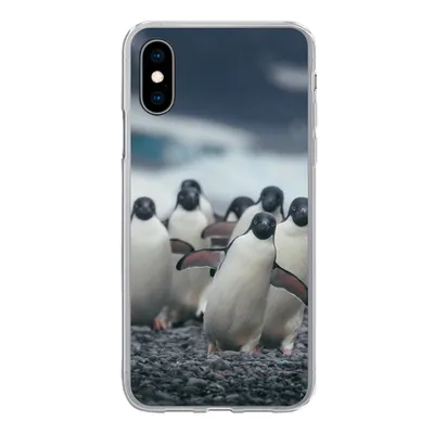 Produktbild von MuchoWow® Handyhülle Schutzhülle Hülle für iPhone X Adeliepinguine am Strand Silikon Softcase Handy Hülle - Handyhülle