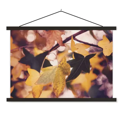 Produktbild von MuchoWow® Textilposter Blätter - Ahorn - Herbst - Jahreszeiten 60x40 cm mit schwarzem Rahmen - Hölzernes