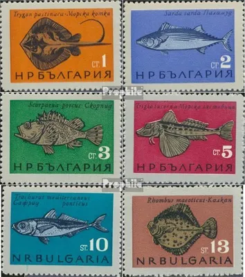 Produktbild von Briefmarken Bulgarien 1965 Mi 1542-1547 (kompl.Ausg.) postfrisch Fische