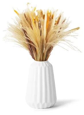Immagine prodotto di 100 steli di erba delle pampas, fiori secchi, bouquet per matrimoni e arredamento