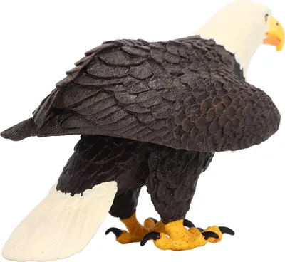 Image de Ornement aigle à tête blanche, décoration pédagogique réaliste peinte à la main