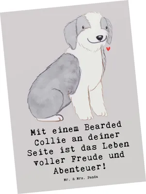 Produktbild von Mr. & Mrs. Panda Grußkarte Bearded Collie Freund - Grau Pastell - Geschenk, Freude, liebevoll, Postkarten, Hund, Ansichtskarten, Hunde, Intelligenz, Fotokarte, Abenteuer