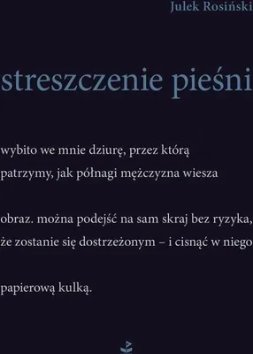 Produktbild von Streszczenie pieśni - zbiór poezji i refleksji
