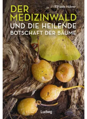 Obrázok produktu pre Der Medizinwald und die heilende Botschaft der Bäume.