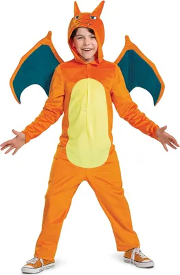 A child wearing a Charizard costume.