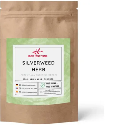 Produktbild von Herbs from Poland Silberblattkraut – Sanft beruhigend, Stärkt Nerven & Hormonsystem, 100% Natürlich – 500g