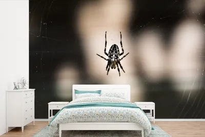 Produktbild von MuchoWow® Fototapete für Wohnzimmer oder Schlafzimmer Wandtapete Vinyl Motivtapete Unterseite einer Spinne - 600x400 cm - Vinyltapeten