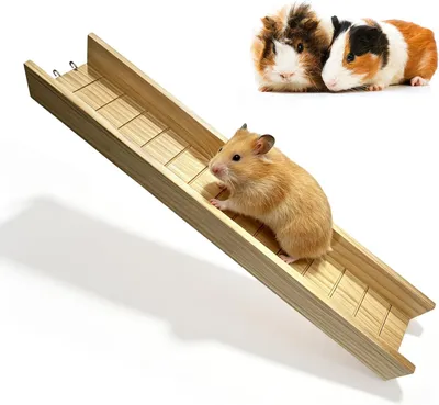 Produktbild von Hamsterleiter 60x12,5 cm, Holz, für Kleintiere